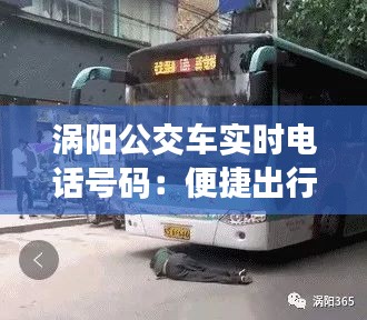 涡阳公交车实时电话号码:便捷出行,信息无忧