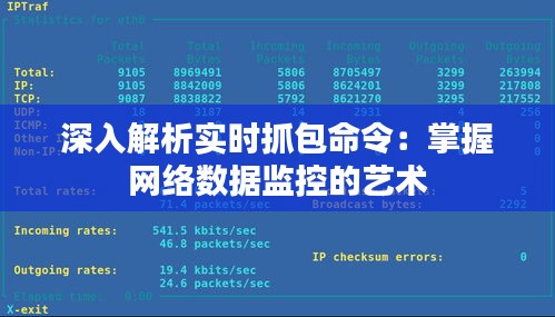 深入解析实时抓包命令:掌握网络数据监控的艺术