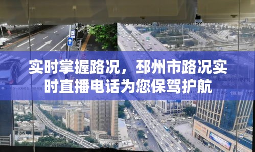 虚张声势 第6页