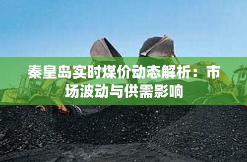 秦皇岛实时煤价动态解析：市场波动与供需影响