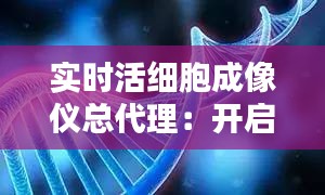 初遇在故事开头 第5页