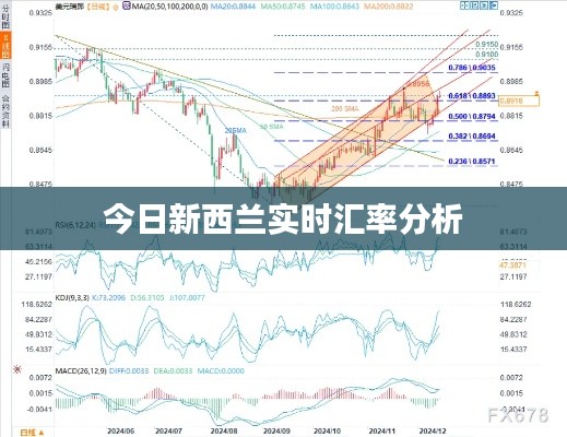 洵属可贵 第5页