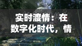 实时渡情:在数字化时代,情感传递的新维度