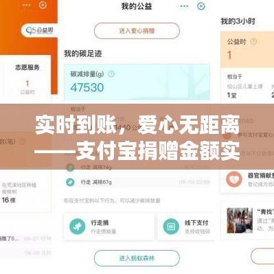 实时到账,爱心无距离——支付宝捐赠金额实时到账的便捷体验
