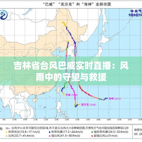 吉林省台风巴威实时直播:风雨中的守望与救援