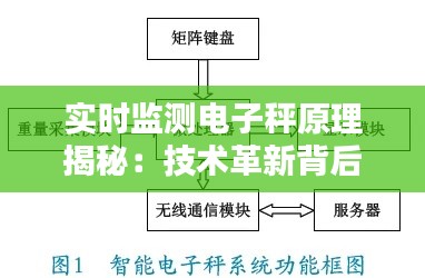 实时监测电子秤原理揭秘:技术革新背后的智慧之光