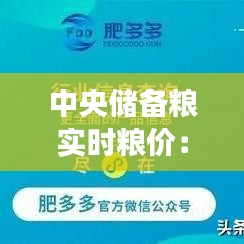 中央储备粮实时粮价：透视粮食市场的“晴雨表”