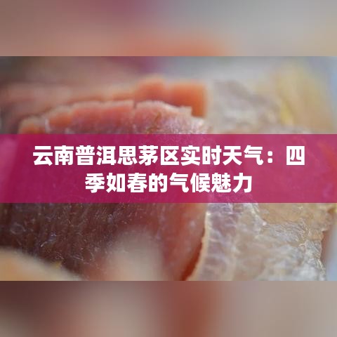 云南普洱思茅区实时天气:四季如春的气候魅力