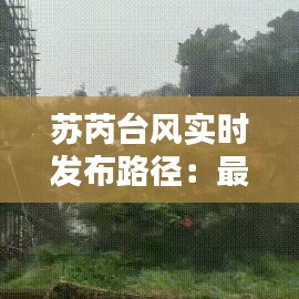 苏芮台风实时发布路径:最新动态与应对措施