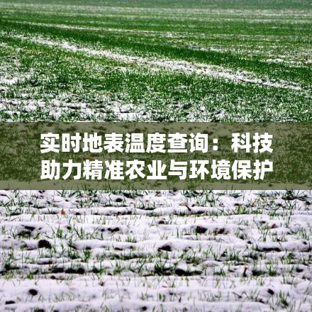 实时地表温度查询:科技助力精准农业与环境保护