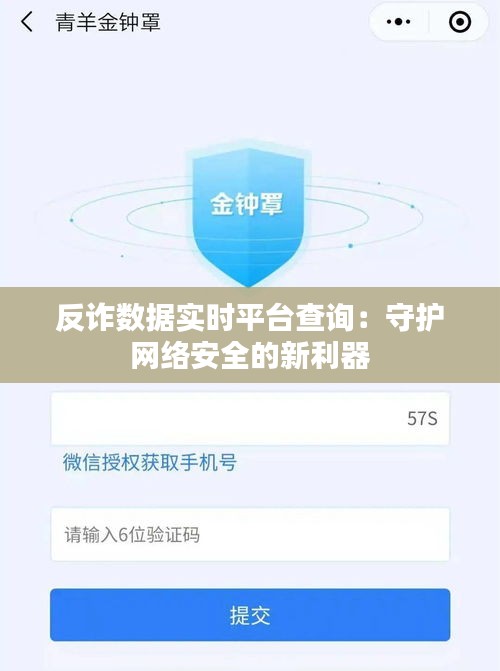 反诈数据实时平台查询:守护网络安全的新利器