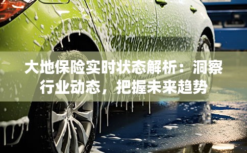 大地保险实时状态解析:洞察行业动态,把握未来趋势