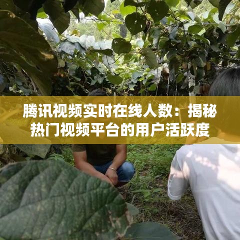束手就缚 第5页