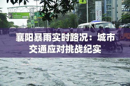 襄阳暴雨实时路况:城市交通应对挑战纪实