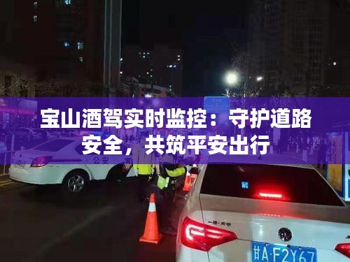 一心一意 第6页