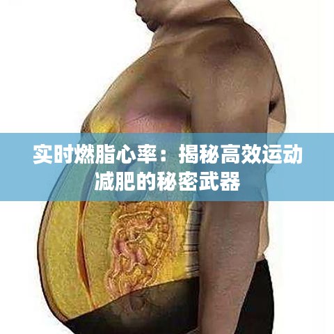 实时燃脂心率:揭秘高效运动减肥的秘密武器