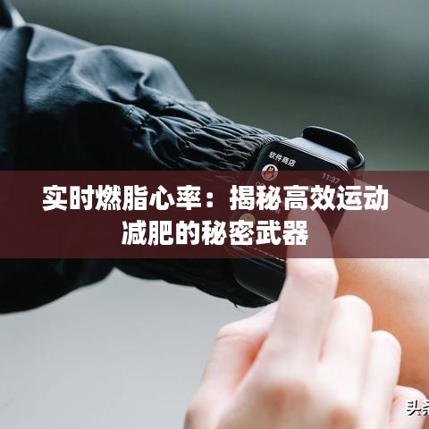 实时燃脂心率:揭秘高效运动减肥的秘密武器
