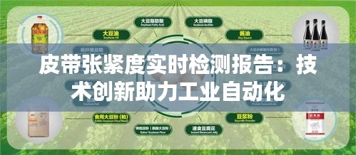 皮带张紧度实时检测报告：技术创新助力工业自动化