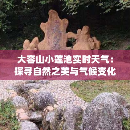 大容山小莲池实时天气:探寻自然之美与气候变化下的和谐共生