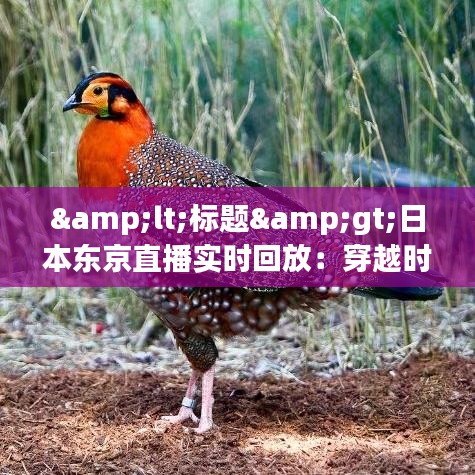 <标题>日本东京直播实时回放：穿越时空的视觉盛宴</标题>