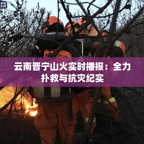 天罗地网 第5页