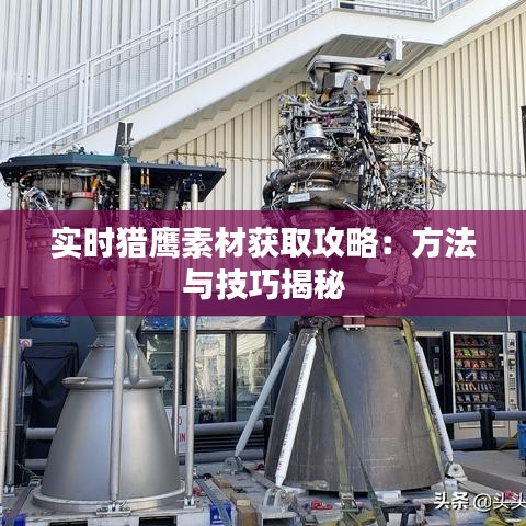 实时猎鹰素材获取攻略:方法与技巧揭秘