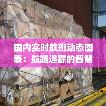 国内实时航班动态图表:航路追踪的智慧之窗