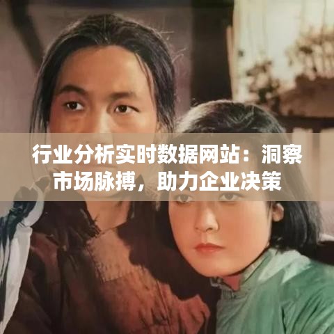 行业分析实时数据网站:洞察市场脉搏,助力企业决策
