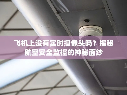 拾金不昧 第5页