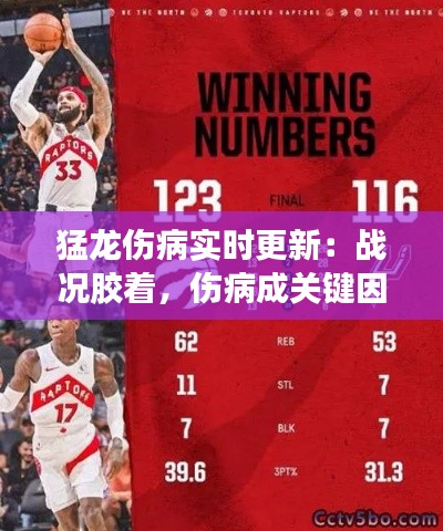猛龙伤病实时更新:战况胶着,伤病成关键因素