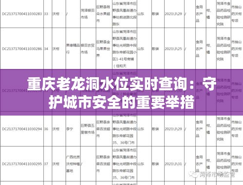 重庆老龙洞水位实时查询:守护城市安全的重要举措