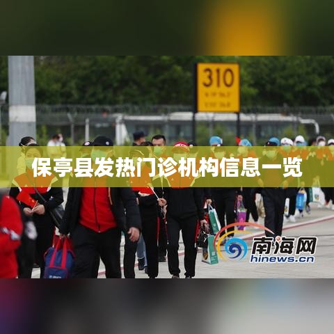 穷鸟入怀 第5页