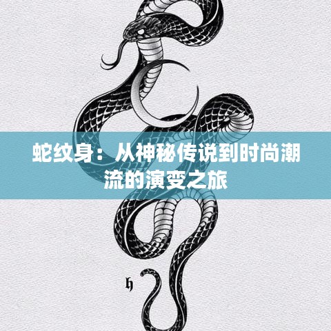 行疾如飞 第4页
