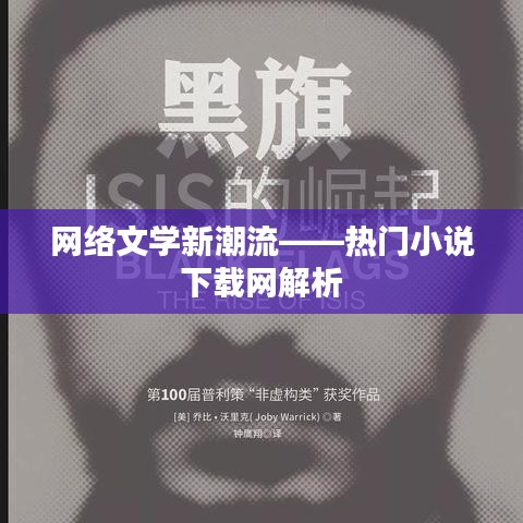 网络文学新潮流——热门小说下载网解析
