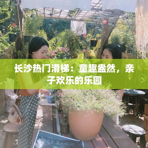 长沙热门滑梯:童趣盎然,亲子欢乐的乐园