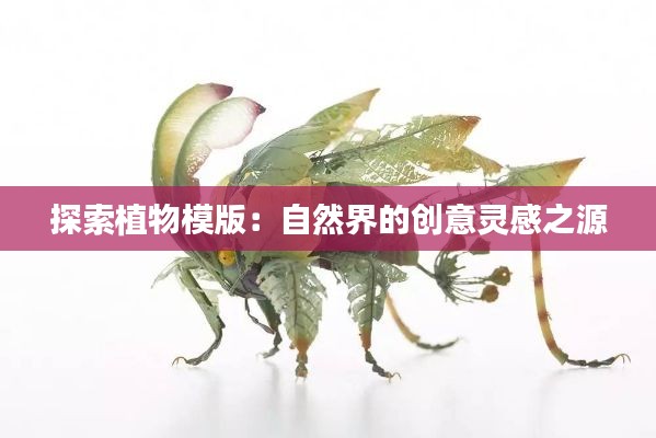 探索植物模版:自然界的创意灵感之源