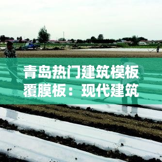 青岛热门建筑模板覆膜板:现代建筑的时尚之选