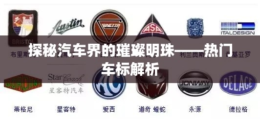 尽心尽力 第5页