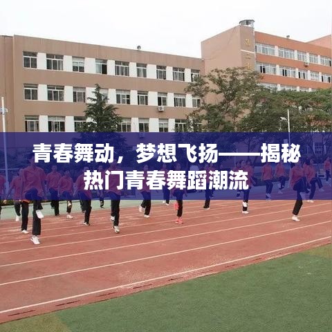 青春舞动，梦想飞扬——揭秘热门青春舞蹈潮流