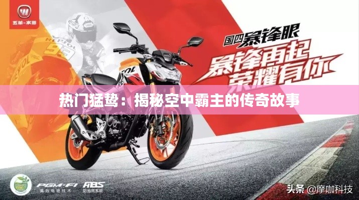 热门猛鸷:揭秘空中霸主的传奇故事