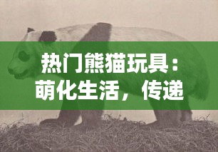 热门熊猫玩具:萌化生活,传递友谊