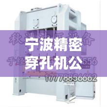 宁波精密穿孔机公司排行榜揭晓！