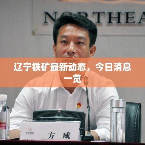 辽宁铁矿最新动态,今日消息一览