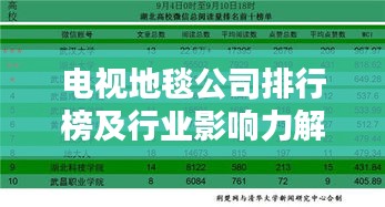 电视地毯公司排行榜及行业影响力解析