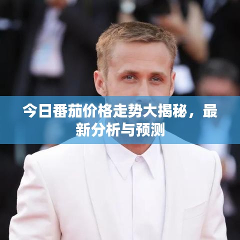 今日番茄价格走势大揭秘,最新分析与预测