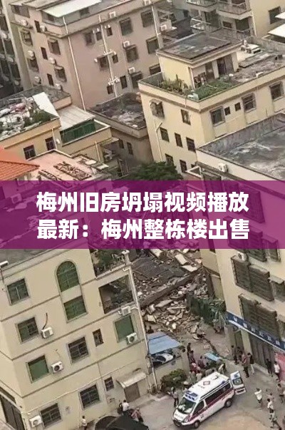 神气十足 第4页