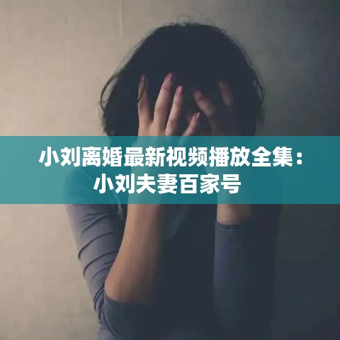 小刘离婚最新视频播放全集:小刘夫妻百家号