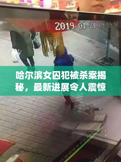 熊经鸟申 第5页