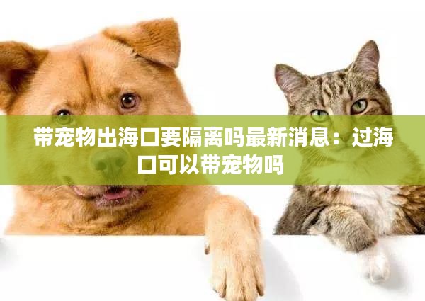 带宠物出海口要隔离吗最新消息:过海口可以带宠物吗