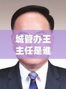 城管办王主任是谁呀最新消息:城管办主任什么职务